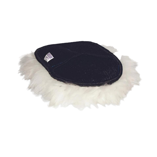 [Q²M Woolie] وولی